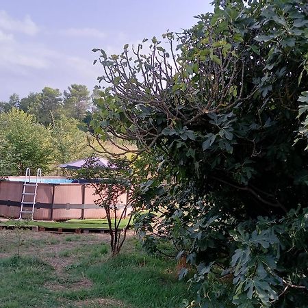Villa Des Arnoux Dans La Vigne Draguignan Dış mekan fotoğraf