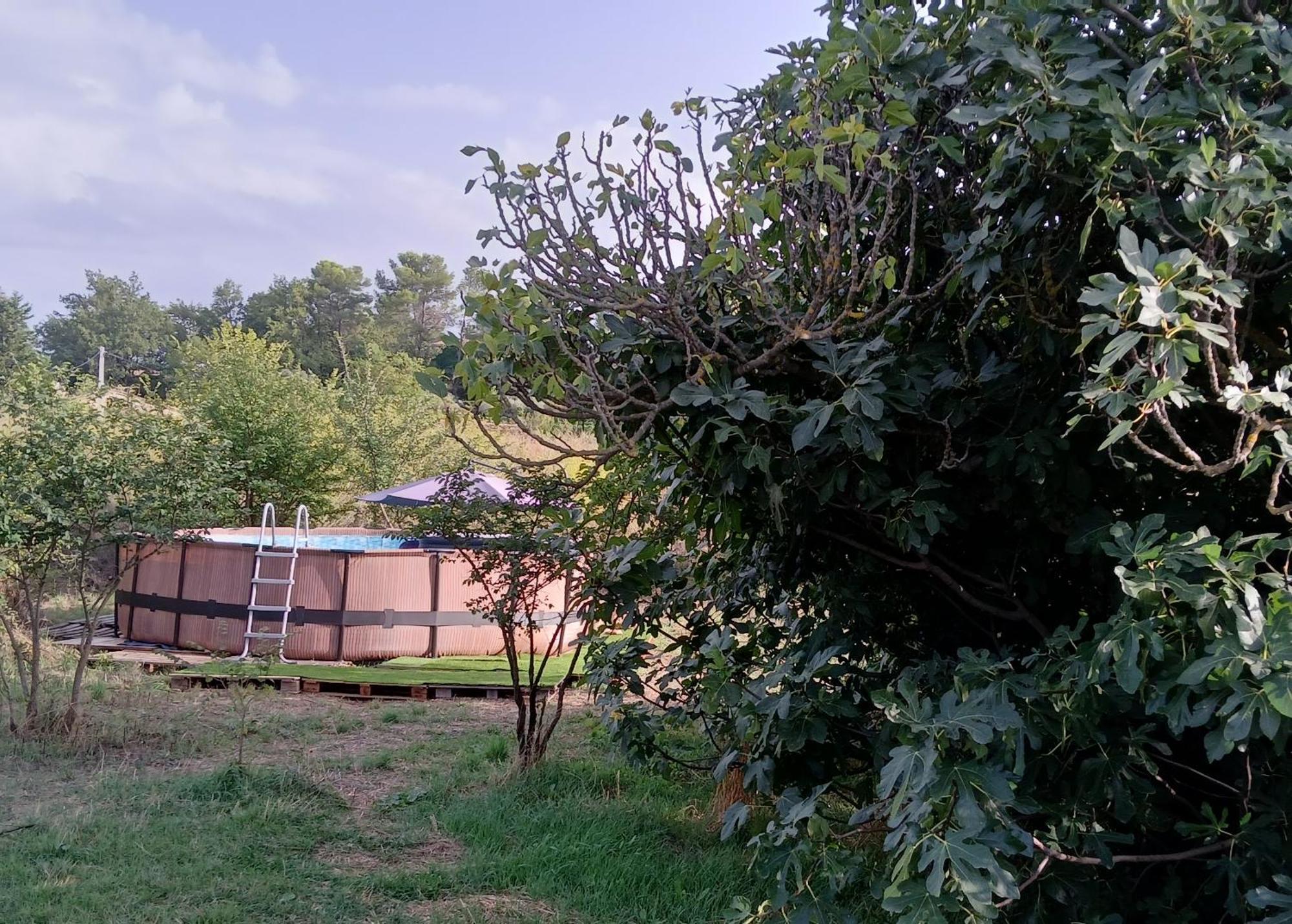 Villa Des Arnoux Dans La Vigne Draguignan Dış mekan fotoğraf